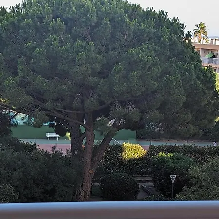 Apartment Climatise Avec Coin Nuit 150m De La